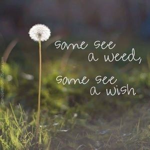 Meet your Posher, Yvette